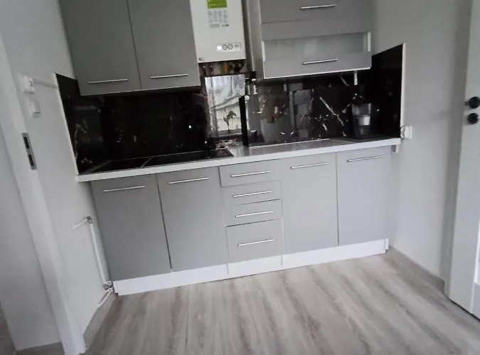 Apartment Traugutta 3 *